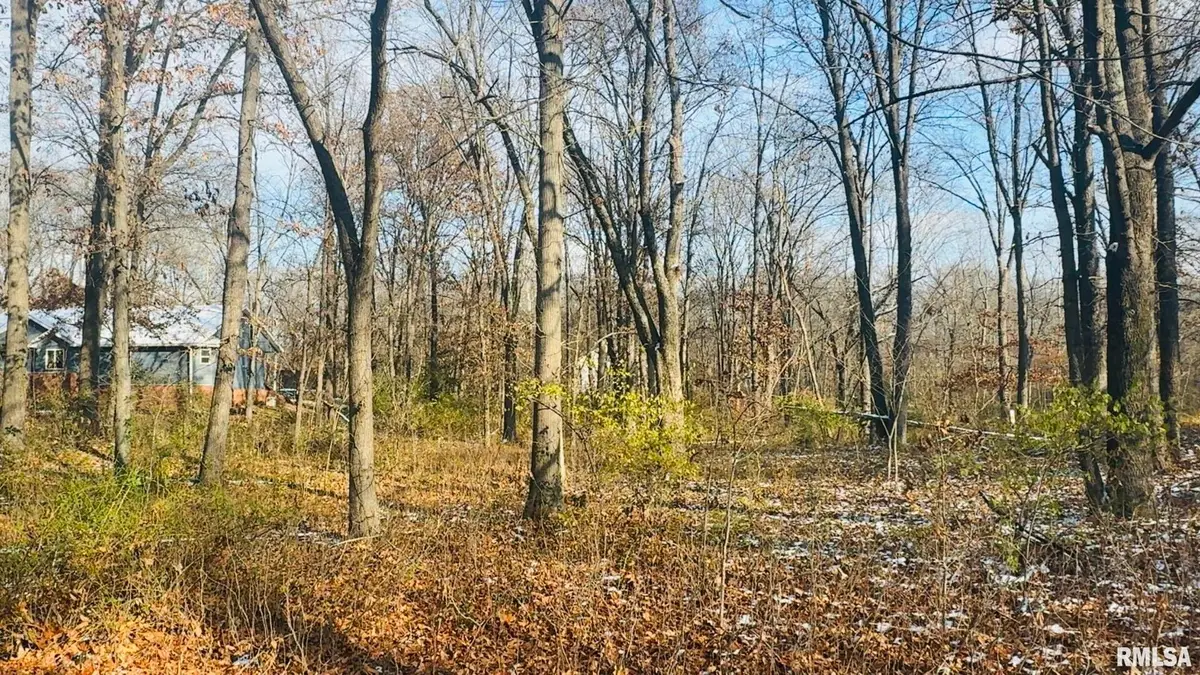 000 White Birch Court, Benton, IL 62812 - Image #1