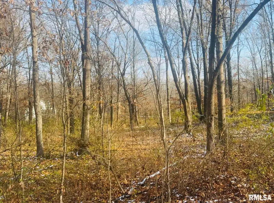 000 White Birch Court, Benton, IL 62812 - Image #2