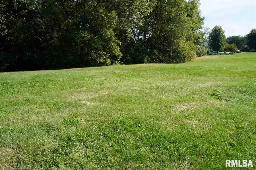 55 Rustic Lake Estates, Colona, IL 61241 - Image #2