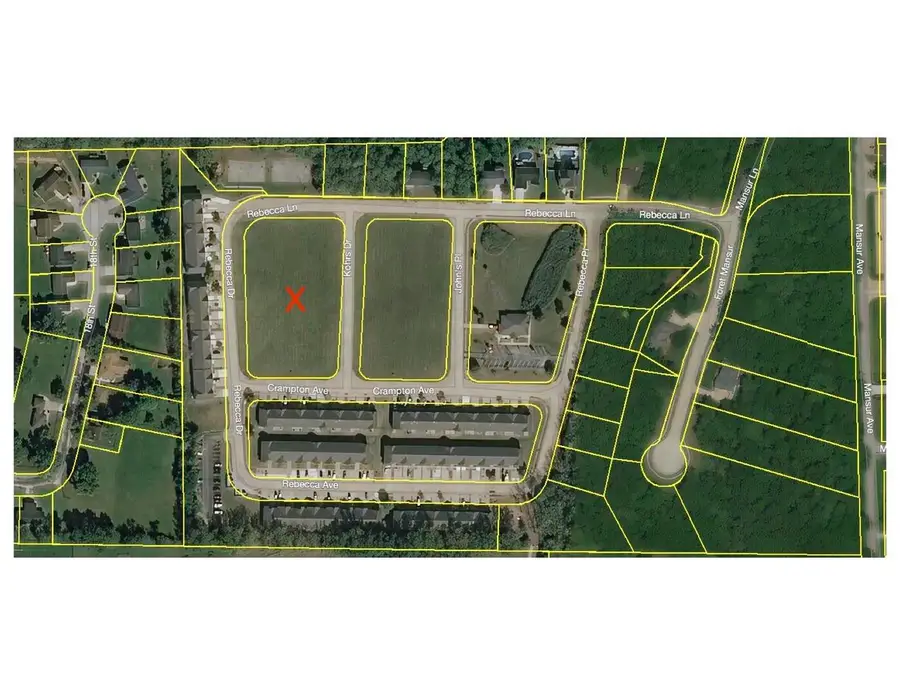 801 Rebecca Drive, Carbon Cliff, IL 61239 - Image #2