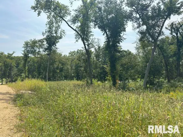 Lot 1 225th Street, De Witt, IA 52742