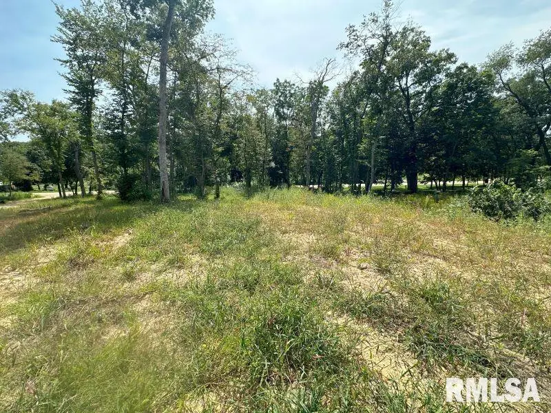 Lot 1 225th Street, De Witt, IA 52742 - Image #3
