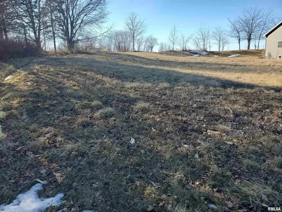 3436 Tower Court, Clinton, IA 52732 - Image #2