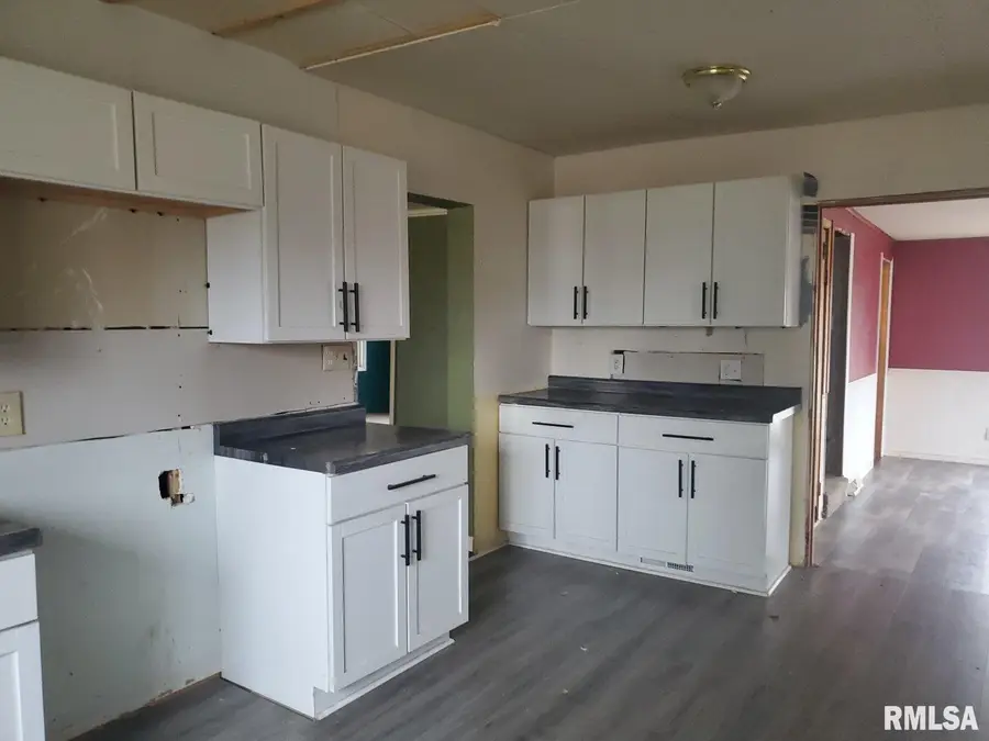 207 Madison Street, Sabula, IA 52070 - Image #3