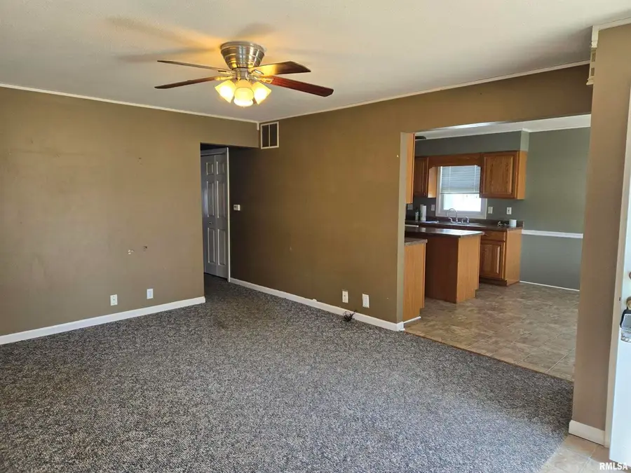 317 Mechanic Street, Mount Sterling, IL 62353 - Image #3