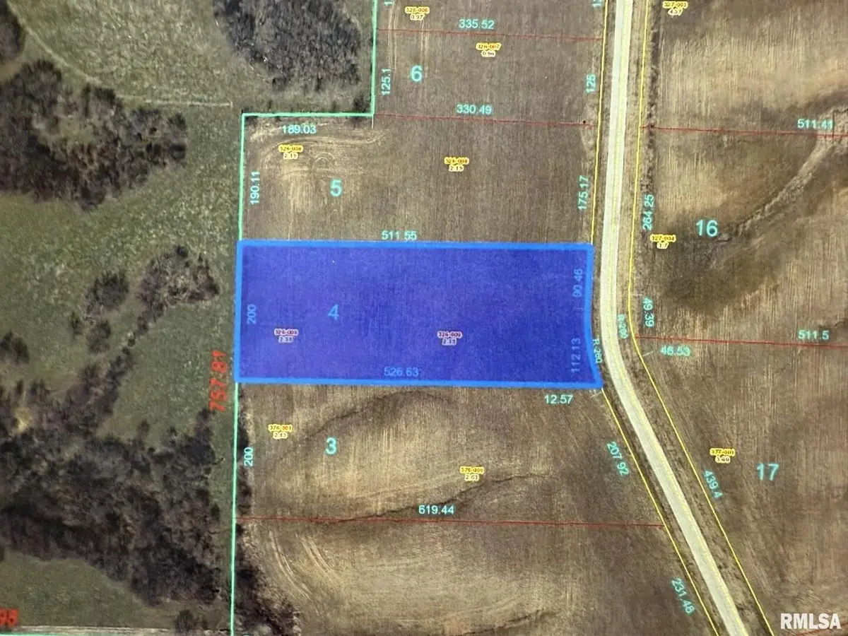 2440 Olof Krans Avenue, Galva, IL 61434 - Image #1