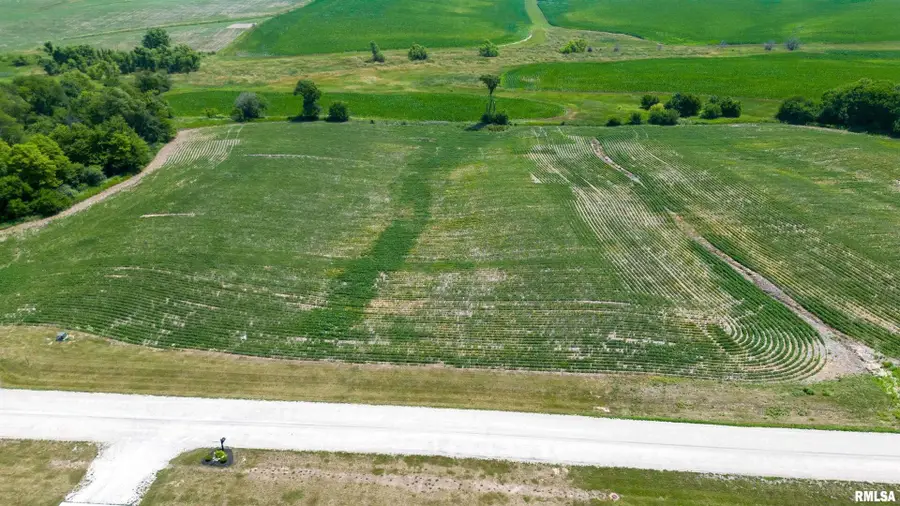 2659 Olof Krans Avenue, Galva, IL 61434 - Image #2