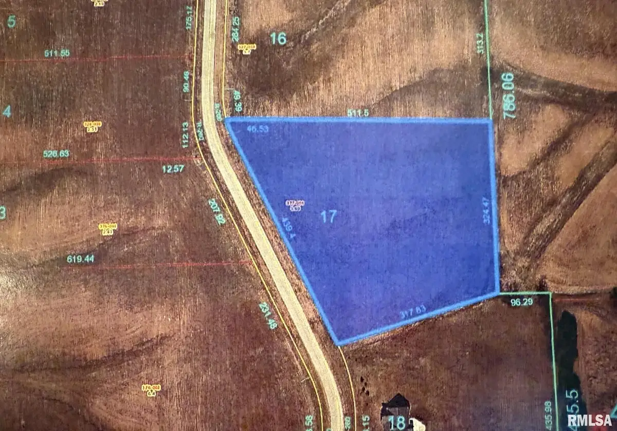 2321 Olof Krans Avenue, Galva, IL 61434 - Image #1