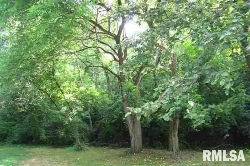 Lot 14 Deer Hill Road, Pleasant Valley, IA 52767 - Image #1