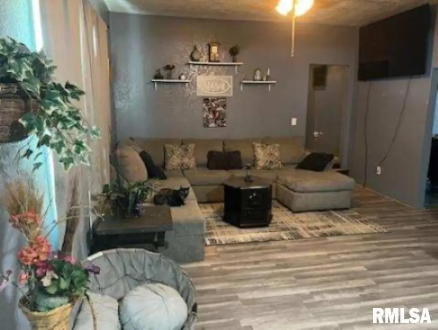 701 3rd Street, Seaton, IL 61476 - Image #2