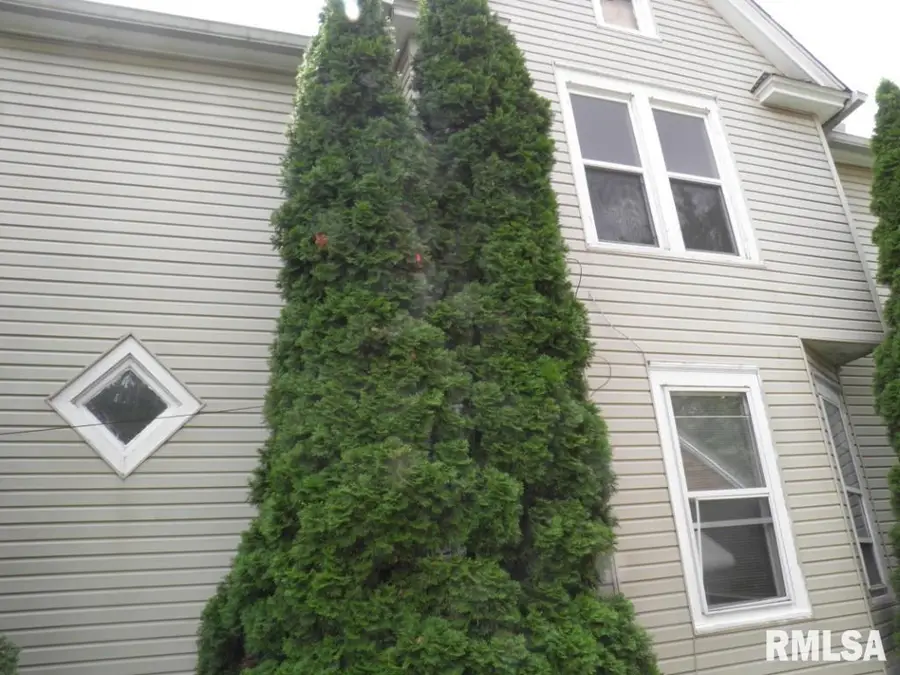 250 44th Street, Moline, IL 61265 - Image #3