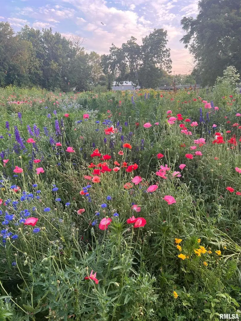 114 Broadway Street, Charlotte, IA 52731 - Image #2