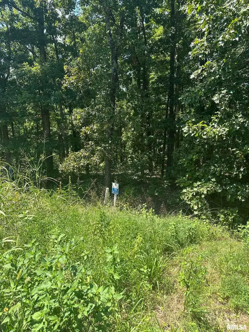 00 Hawthorne Point, Goreville, IL 62939 - Image #1