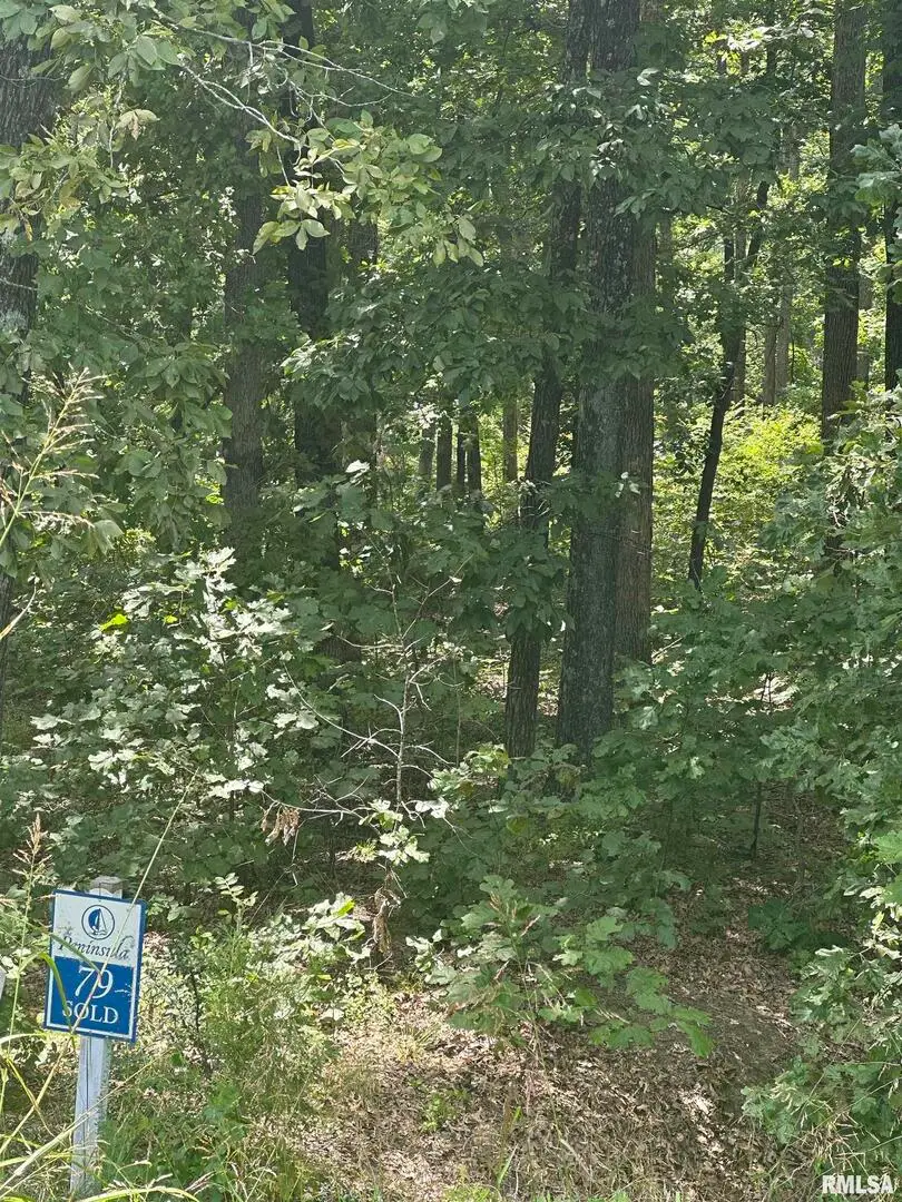 00 Hawthorne Point, Goreville, IL 62939 - Image #3