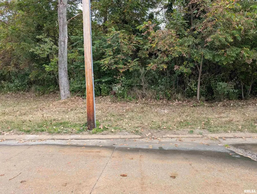 1433 W 98th Avenue Court, Rock Island, IL 61201 - Image #2