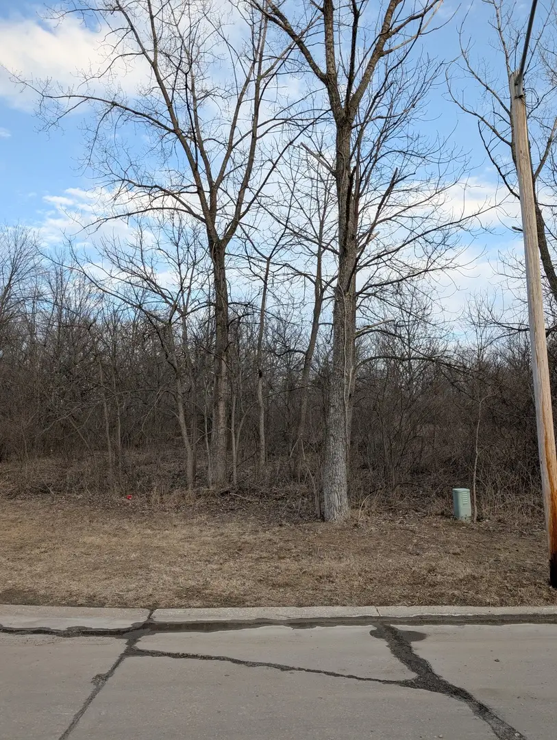 1437 W 98th Avenue Court, Rock Island, IL 61201 - #2