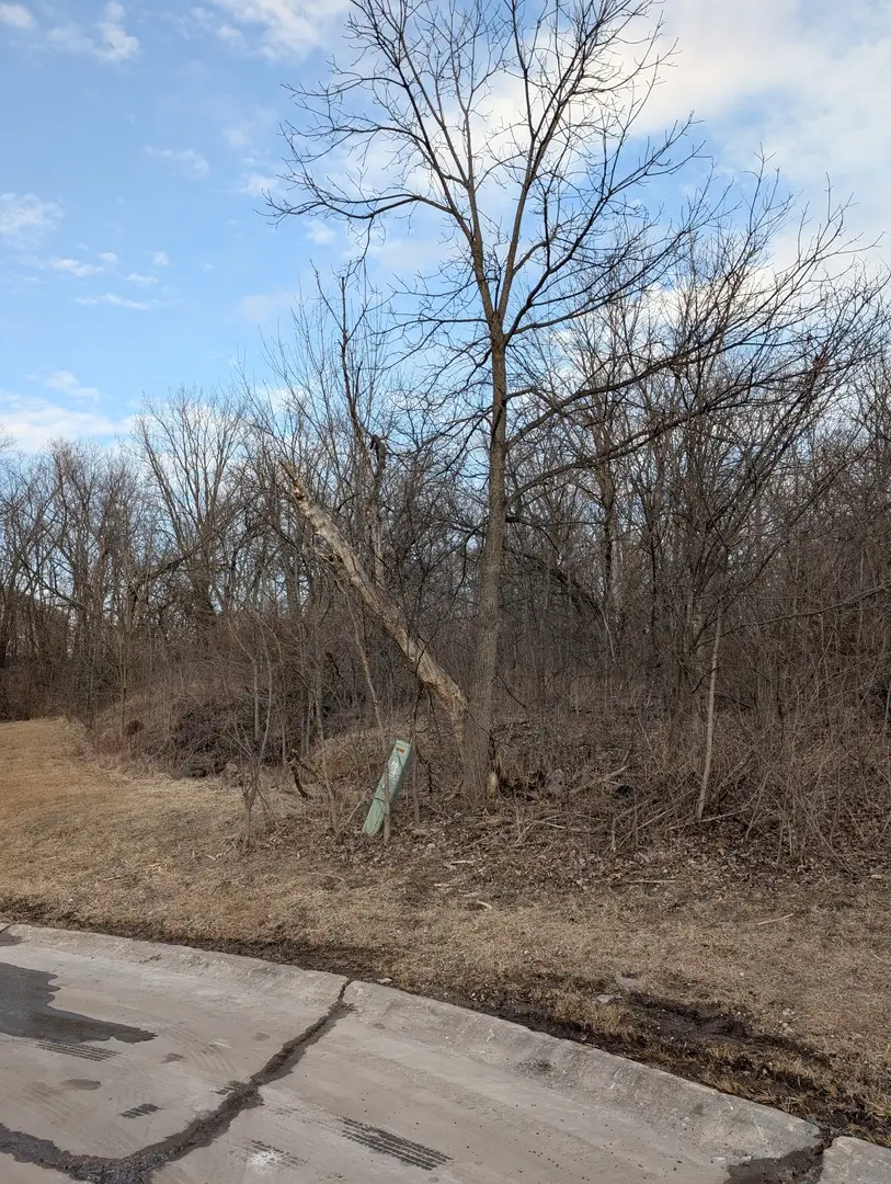 1441 98th Avenue Court W, Rock Island, IL 61201 - #2