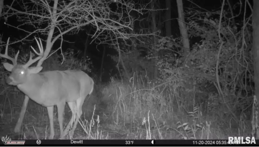 302 Silver Creek Road, De Witt, IA 52742 - Image #3