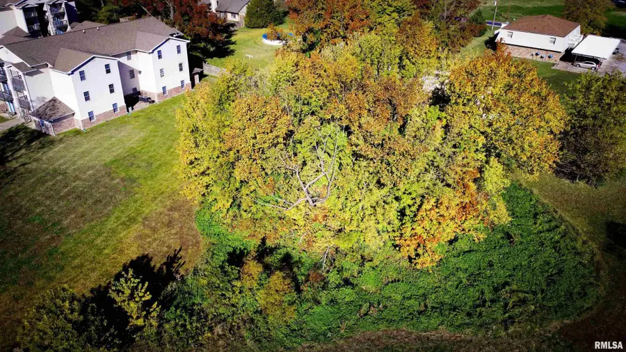 TBD Eagle Pass Street, Carterville, IL 62918 - Image #3