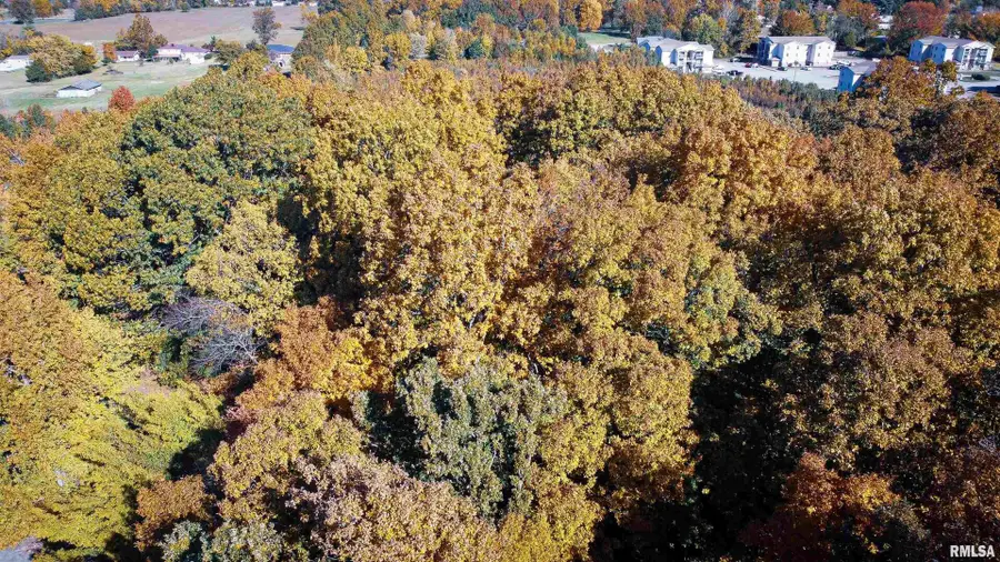 TBD A Conestoga Trail, Carterville, IL 62918 - Image #2