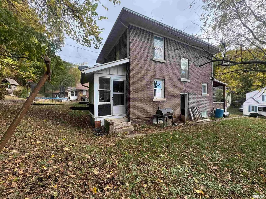 111 N Park Street, Savanna, IL 61074 - Image #2