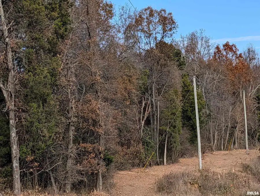 0000 State Highway 145 N Highway, Stonefort, IL 62987 - Image #2