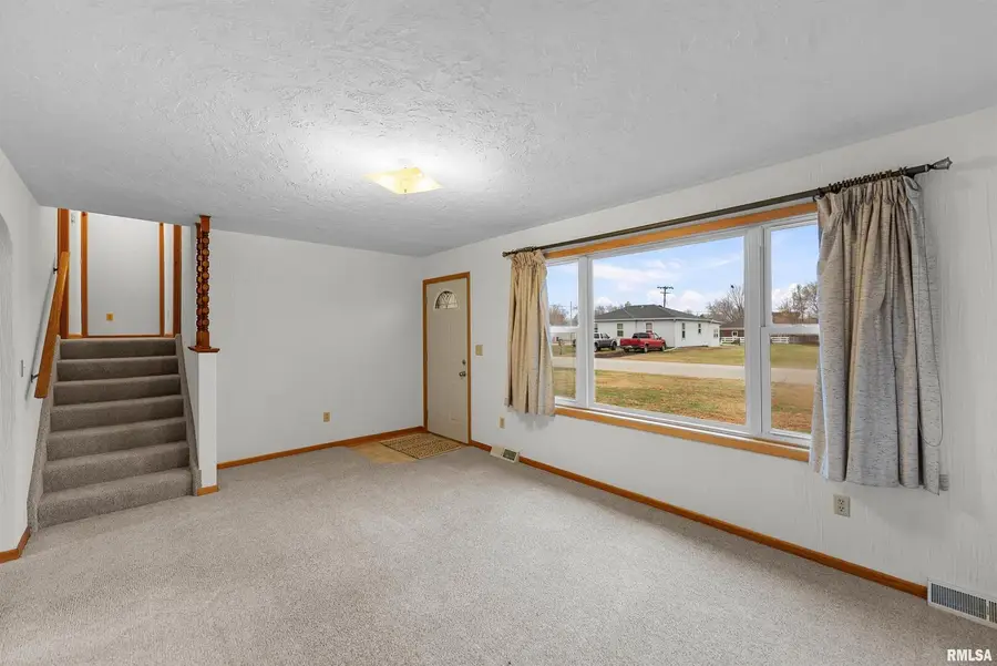 703 2nd Street, Colona, IL 61241 - Image #3