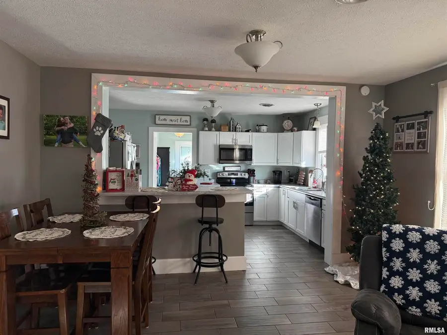 605 Follis Avenue, Johnston City, IL 62951 - Image #3