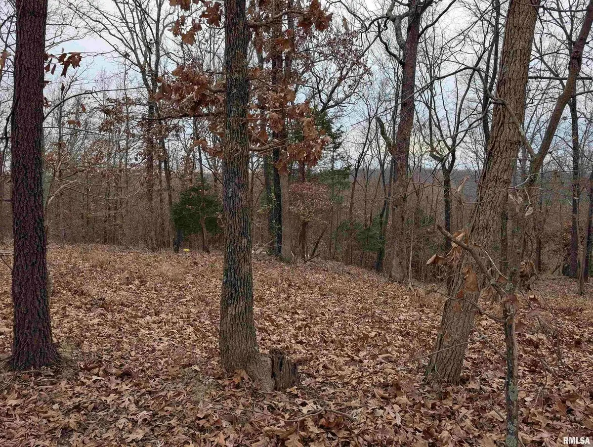 2643 Dogwood Road, Carbondale, IL 62902 - Image #1