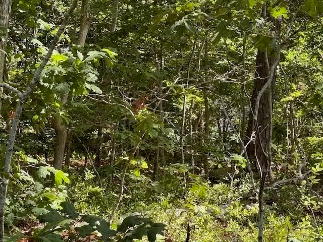 #3