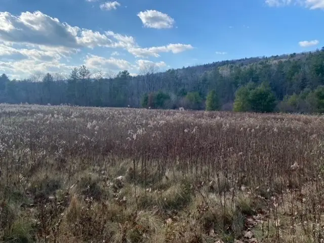 0 E Alford Rd, West Stockbridge, MA 01266 - #1