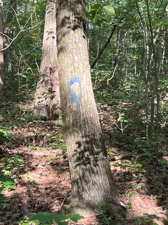 #2