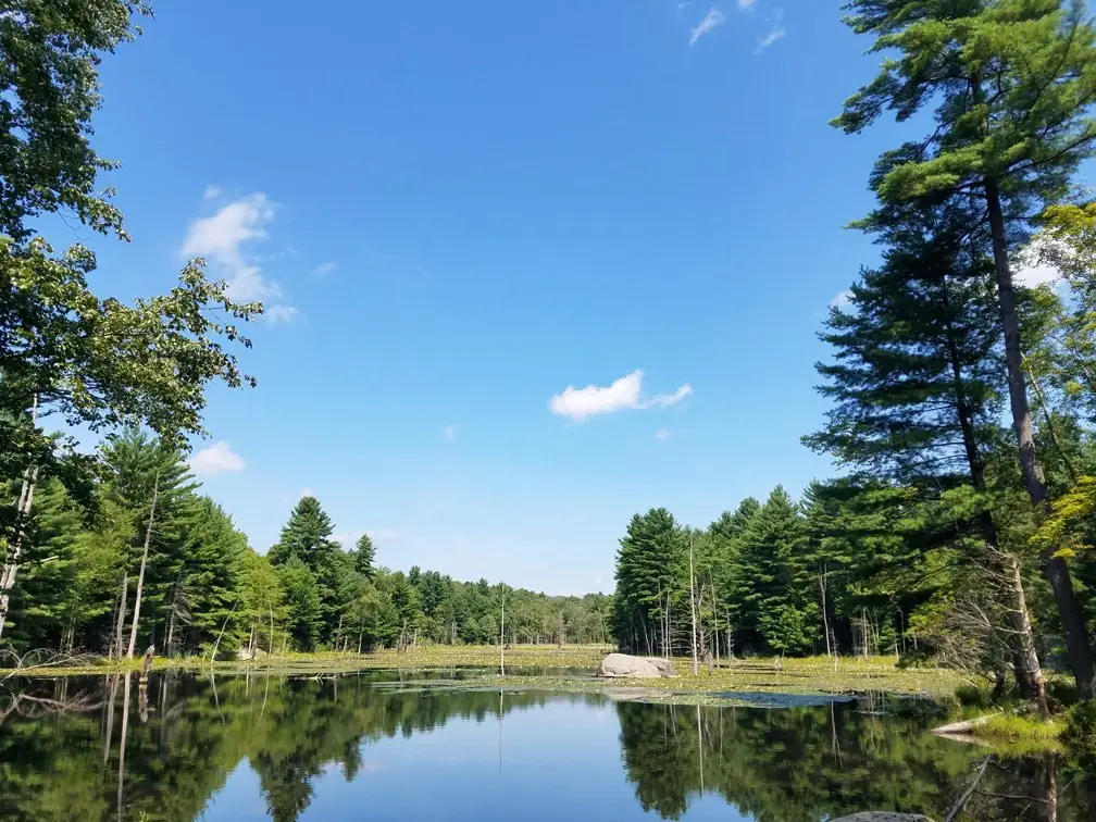 266 Holland Rd, Sturbridge, MA 01518 - #1