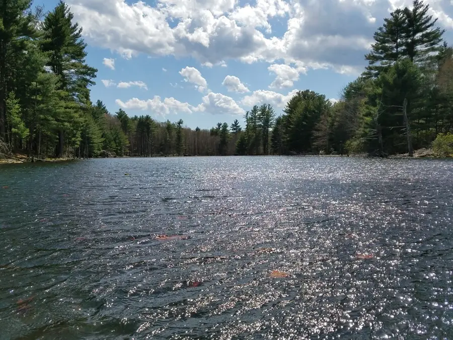 266 Holland Rd, Sturbridge, MA 01518 - #2