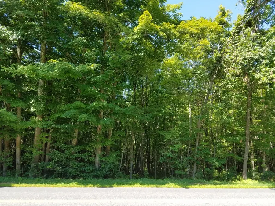 266 Holland Rd, Sturbridge, MA 01518 - #3