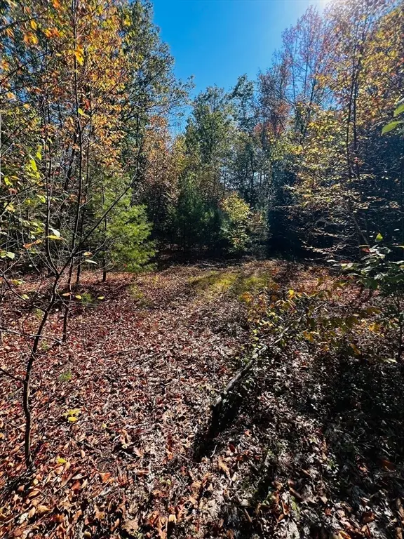 Map 408 39-1 Bullock Road, Richmond, NH 03446 - Image #2