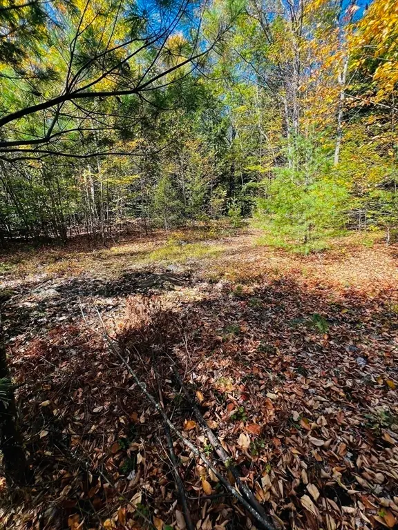 Map 408 39-1 Bullock Road, Richmond, NH 03446 - Image #3