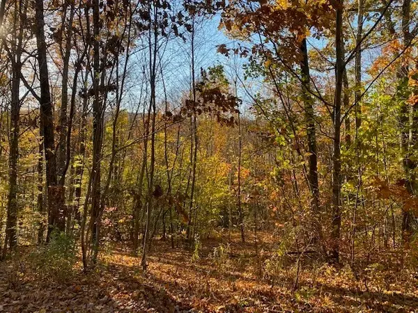 539 Fox Hill Road, Bernardston, MA 01337