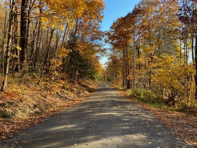 539 Fox Hill Road, Bernardston, MA 01337 - Image #3