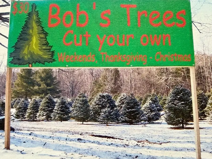 10 Maple Street, Plainfield, MA 01070 - Image #3