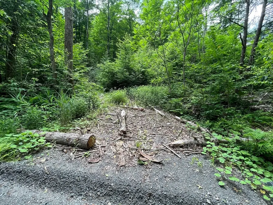 0 Goss Hill Road/kimball Road, Huntington, MA 01050 - Image #3