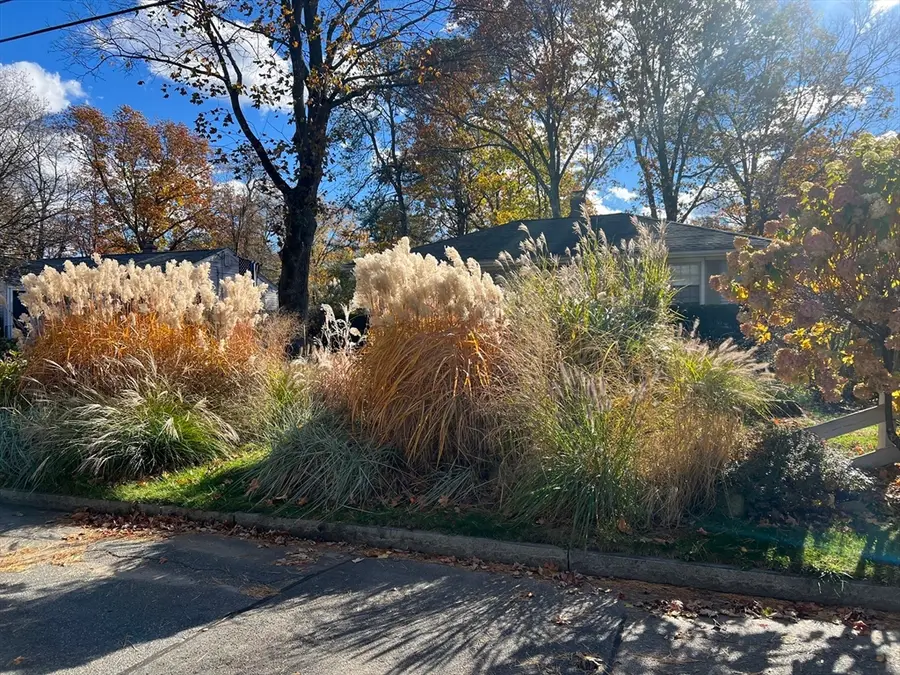 157 Gardens Dr, Springfield, MA 01119 - Image #3