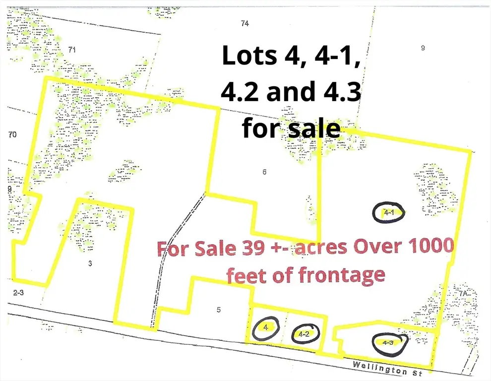 0 Wellington St, Dighton, MA 02715 - Image #1