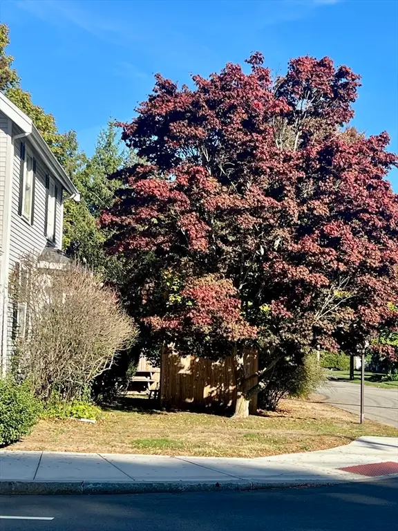 556 Webster Street, Needham, MA 02494 - Image #3