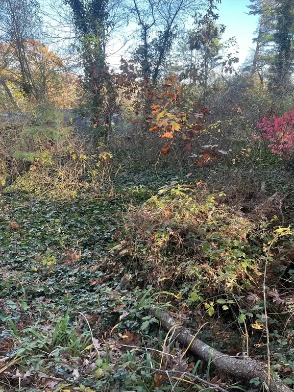 14 Wisteria Street, Lakeville, MA 02347 - Image #2