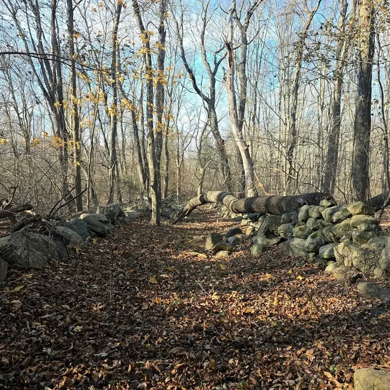 79 Hillside Street, Milton, MA 02186 - Image #2