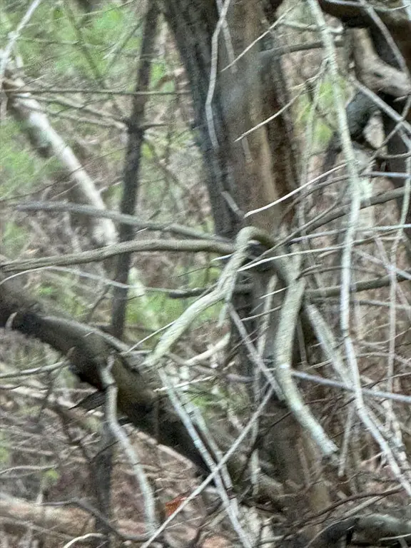 51 Holly Pond, Marion, MA 02738