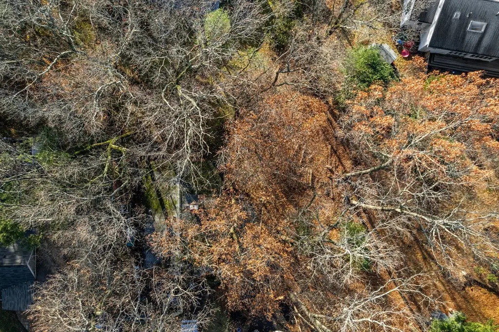 30 Harbell Street, Lexington, MA 02321 - Image #1