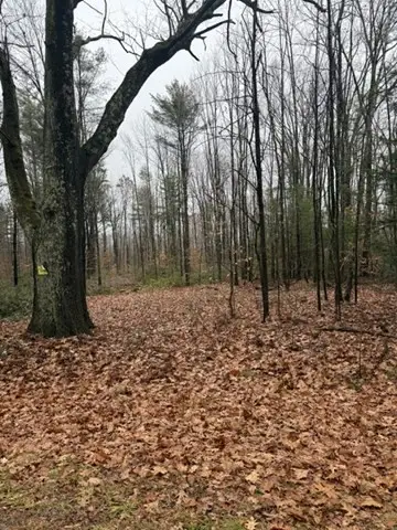 0 Wendell Depot Rd, Wendell, MA 01379