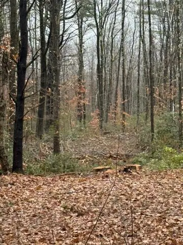 0 Wendell Depot Rd, Wendell, MA 01379 - Image #2